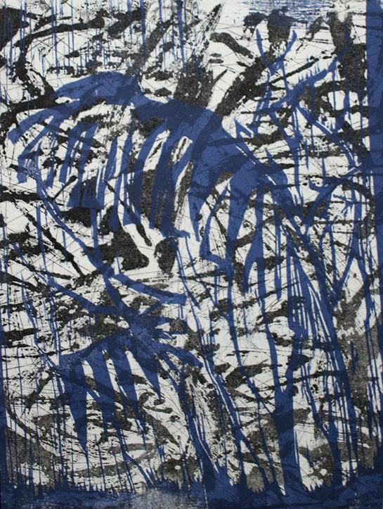 bleu6-225-29