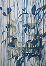 villeplantebleu1