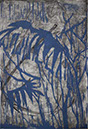 bleu4-195-295