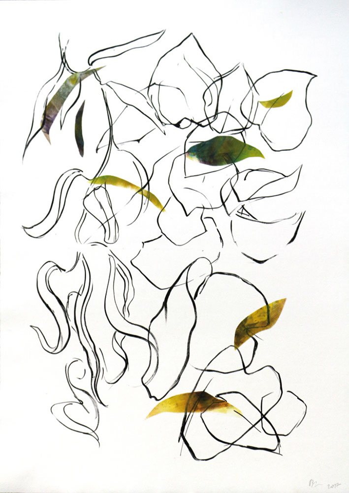 helianthe3