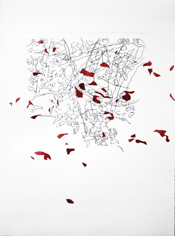 IBeraut-40x30-partir3