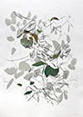 I-Beraut-enattendant2-70x50