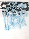 archiplante240x30