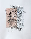 saventurer7-50x40
