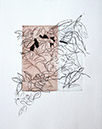 saventurer5-50x40