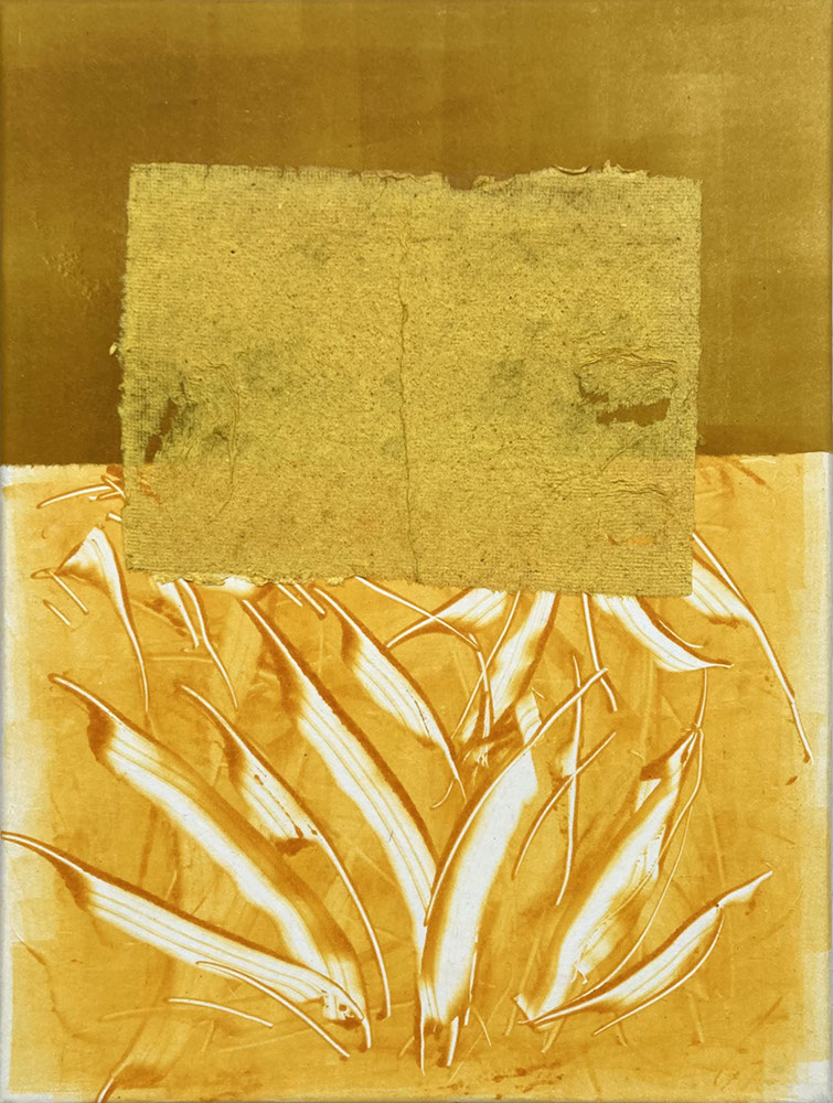 I-Beraut 40x30cm jardin curcuma ras el hanut